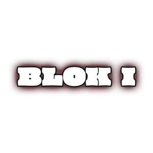 Bilet IDOL SHOW: Blok I